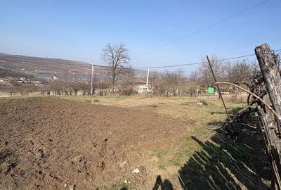 Spațiu comercial, în Aroneanu - 5