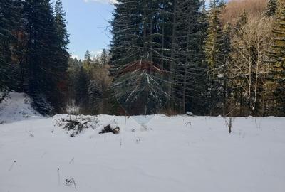 Oportunitate de investitie ! Teren intravilan, 19086 mp, Poiana Brasov - 9