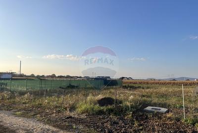 Teren 650mp Sacele / Strada Venus - Gata de Construit | 0... - 1