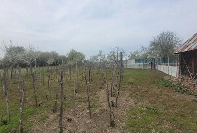 Casă cu 3 camere în Bulzești - 2