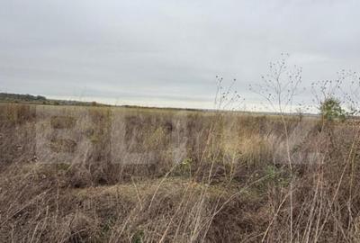 Teren de vanzare, 1000 mp, zona Dragomire?ti - 2