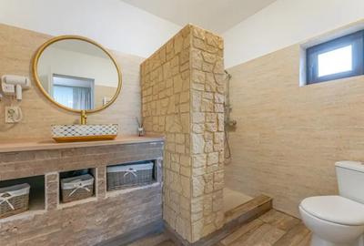 Casă cu 8 camere cu Teren 1100 Mp în Sohodol - 17