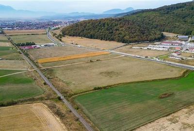 FILM! 60.000 mp, teren intravilan, acces la DN1, Codlea, Brasov - 3