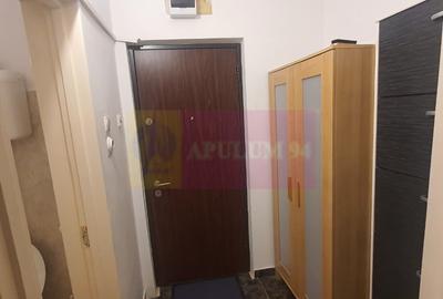 Garsonieră semidecomandată, mobilată în Dristor - 22