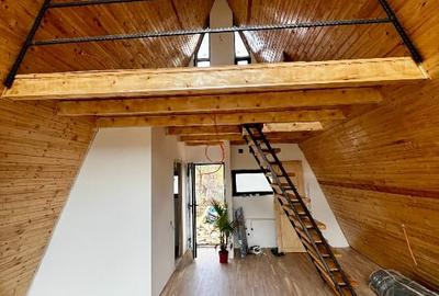 Cabana A frame langa Sinaia - 3