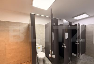 Spațiu comercial, de 334 mp, în Calea Severinului - 11