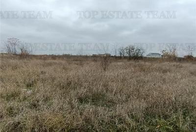 Teren de 601 mp, în Domnești