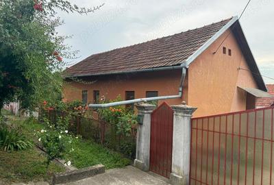 Casă cu 3 camere cu Teren 5200 Mp în Țela - 5