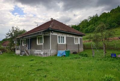 Casă cu 3 camere cu Teren 12861 Mp în Luncoiu de Jos - 20