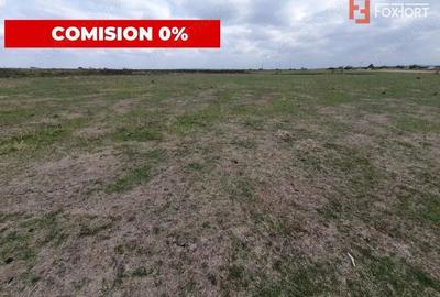 COMISION 0% Teren intravilan 1255 mp cu Puz aprobat, zona Giroc - 9