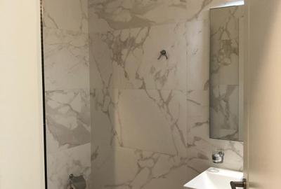 VILĂ MODERNĂ CU 8 CAMERE | ZONA DOROBANȚI - TVR | 300 MP UTILI | CURTE PRIVATĂ - 20