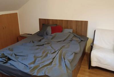 Vand mansarda terezian Vand mansarda terezian - 4