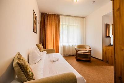 FILM! Pensiune turistica+Casa+transfer afacere+2000 mp teren,Cheile Rasnoavei,Br - 10