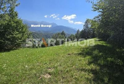 Teren intravilan Bran Podul Simonului - 3