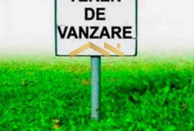 Teren Central-Utvin-Urbanism P+E+M - 1