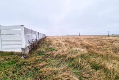 Teren intravilan Bradu Arges - 2