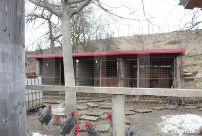 Casă cu 5 camere cu Teren 1337 Mp în Belin - 2