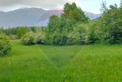 Teren Construcții intravilan de 4223 mp, în Tohănița - 8