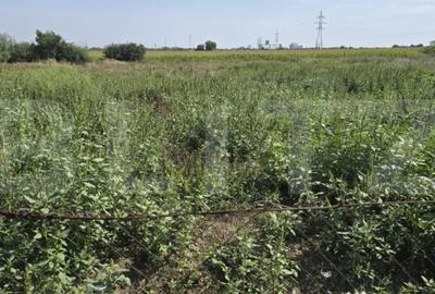 Casă cu 1 camere cu Teren 2415 Mp în Periferie - 4