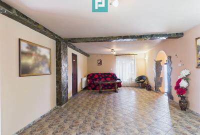 Pensiune la Orțișoara - 10