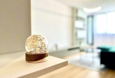 Apartament cu 2 camere semidecomandat în Take Ionescu - 8