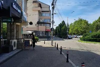 Ultracentral apartament de inchiriat - 5