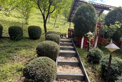 Vand cabana casa de vacanta - 9