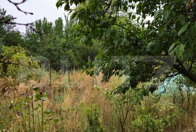 Teren extravilan 17524 mp, expunere sudica, Viforata - 3