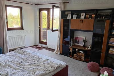 Vila deosebita, Brancoveanu, Luica, curte generoasa. Merita - 10