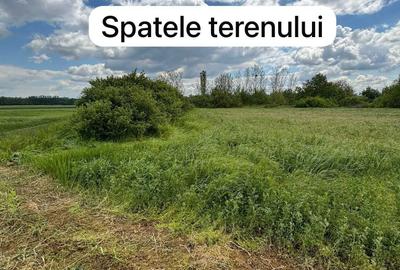 Spațiu comercial, în Băbiciu - 2