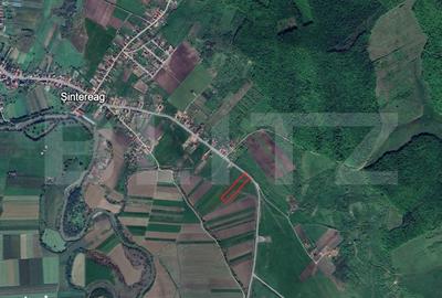 Teren de 13000 mp, în Șintereag - 1