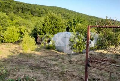 Casă cu 4 camere cu Teren 5500 Mp în Mălureni - 3