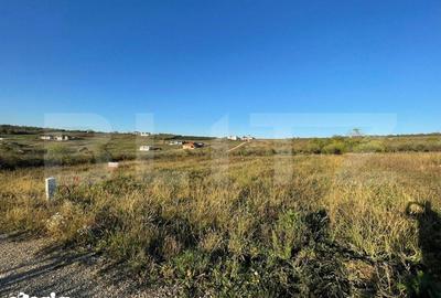 Teren de 630 mp, în Paleu - 2