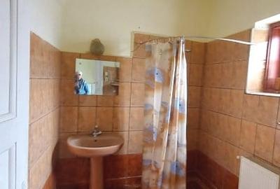 Casă individuală cu 5 camere cu Canalizare în Cisnădie - 14
