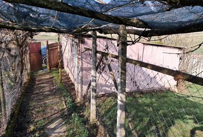 Casa jude?ul Vaslui - 5