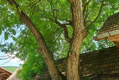 Casă cu 2 camere în Rugășești - 2