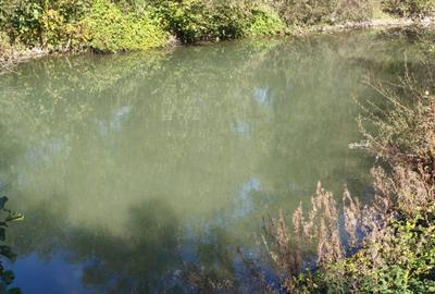 Teren imprejmuit cu iaz indiguit, 7200mp, Fratautii Vechi, R - 1