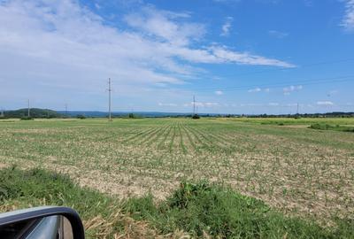 TEREN AGRICOL BABENI LANGA ABATOR LA PROVINCIA - pretabil ferma cu panour solare - 13