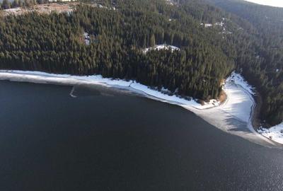 Teren de 10146 mp, în Giurcuța de Sus - 6