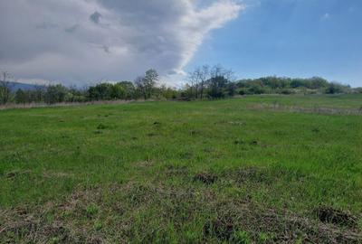 Spațiu comercial, în Central - 4