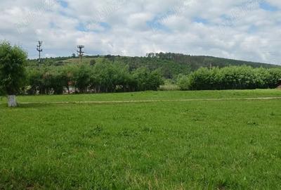 Teren de 2000 mp, în Moacșa