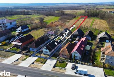 Casă cu 3 camere cu Teren 3724 Mp în Apa - 15