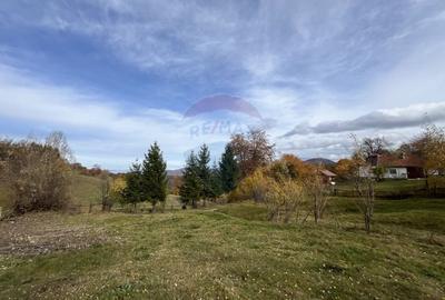 Teren de Vis in Bran - 1000mp Plat, Liniste Absoluta si Aer Curat - 7