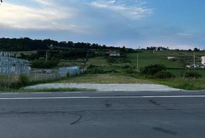 Teren Construcții intravilan de 2700 mp, în Cristian - 3