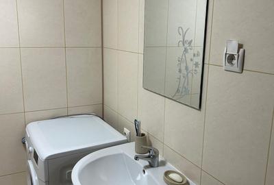 Garsonieră spațioasă de vânzare – Strada Cremenita/ Mansarda - 10