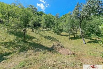 Casa de vanzare in zona Vintu cu 10.790 mp teren - 15