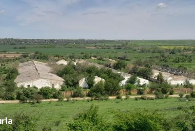 Teren de 84179 mp, în Izvoru