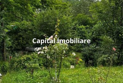 Casa Baicoi 95 mp Sc, 2578 mp teren - 5