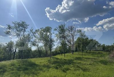 Teren de 15080 mp, în Central - 8