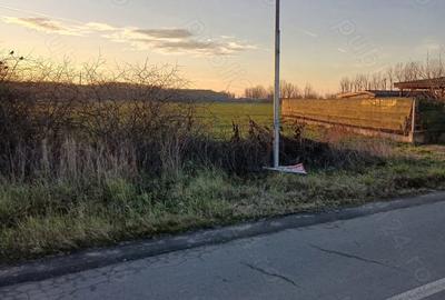 Teren de 4332 mp, în Gruiu - 1